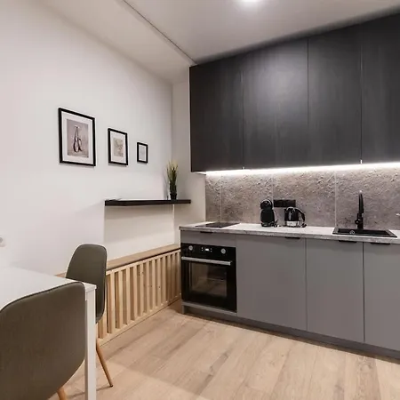 Hook Urban Spacious Апартаменти Вільнюс