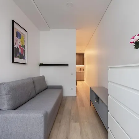 Hook Urban Spacious Апартаменти Вільнюс